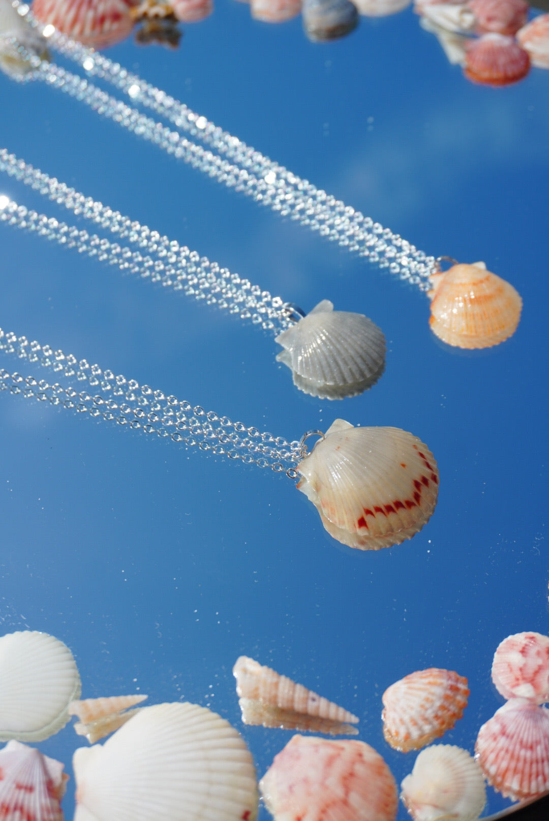 Seashell Necklace