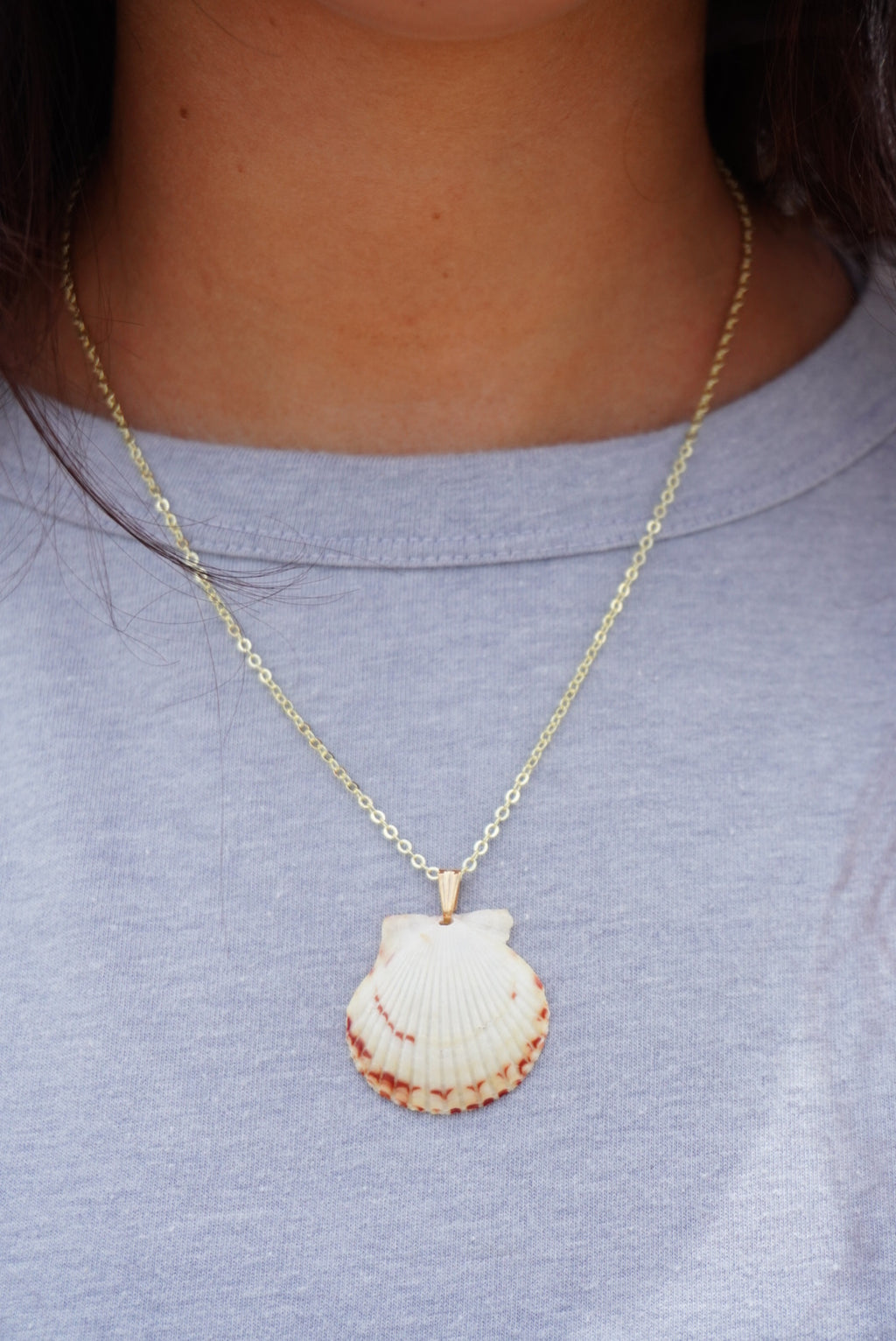 Seashell Necklace