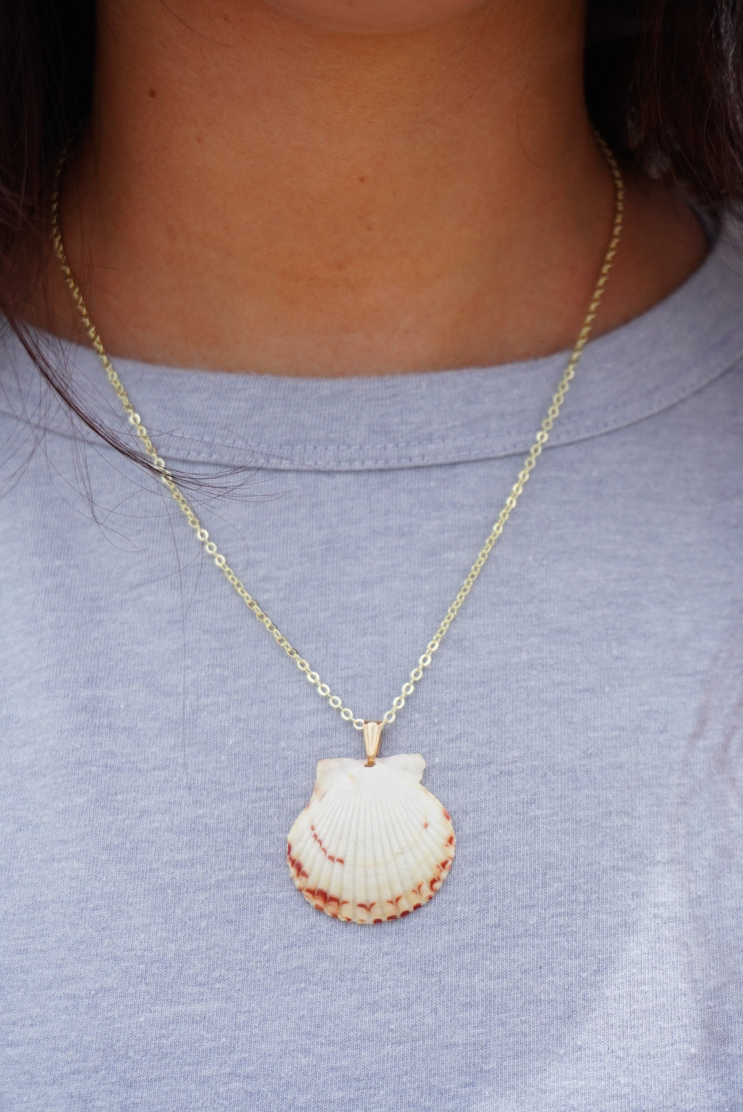 Seashell Necklace