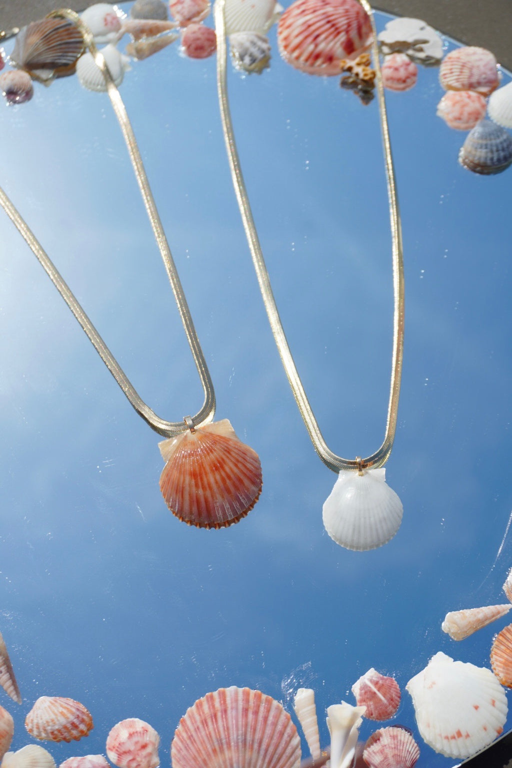 Snake Chain Seashell Necklace