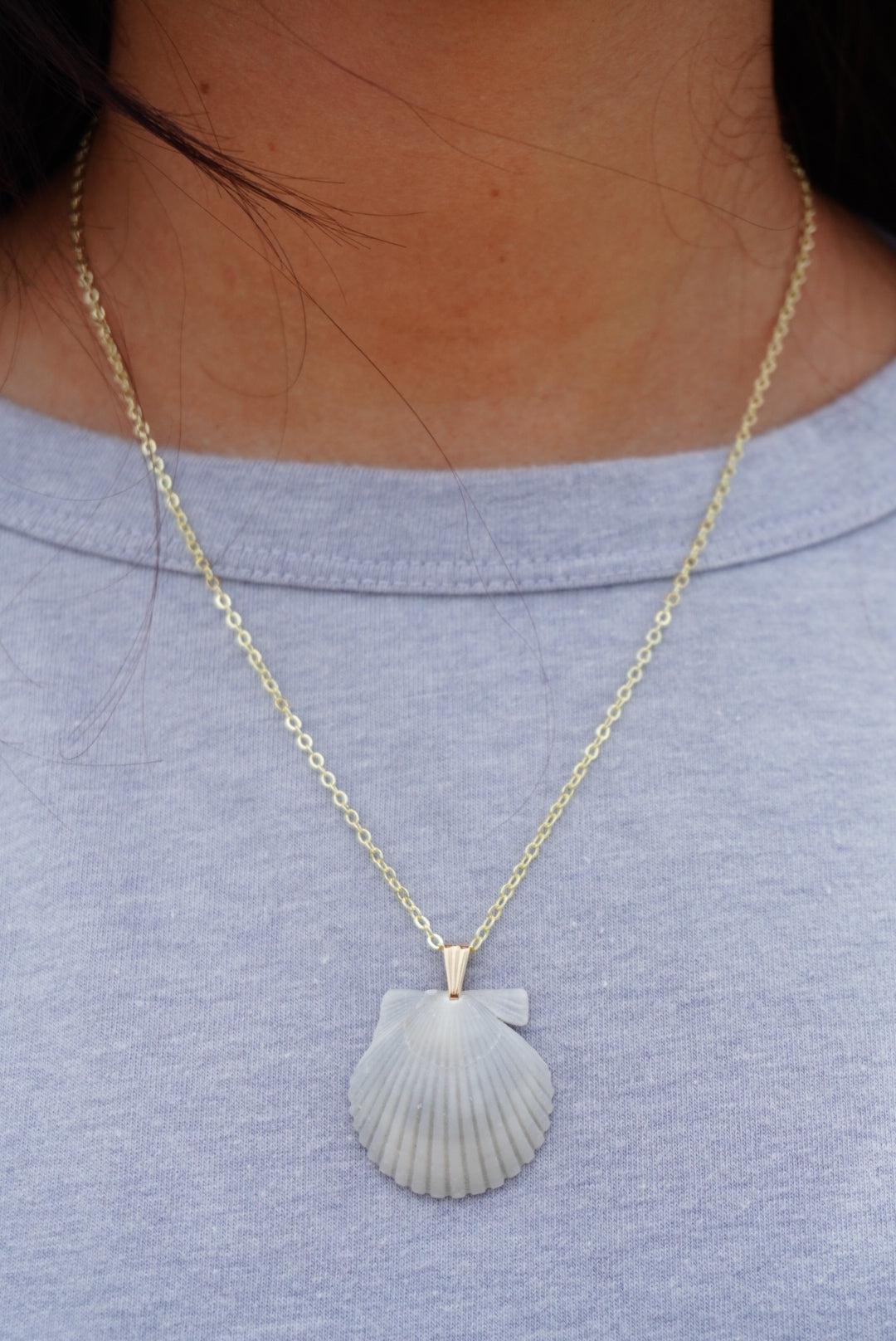 Seashell Necklace