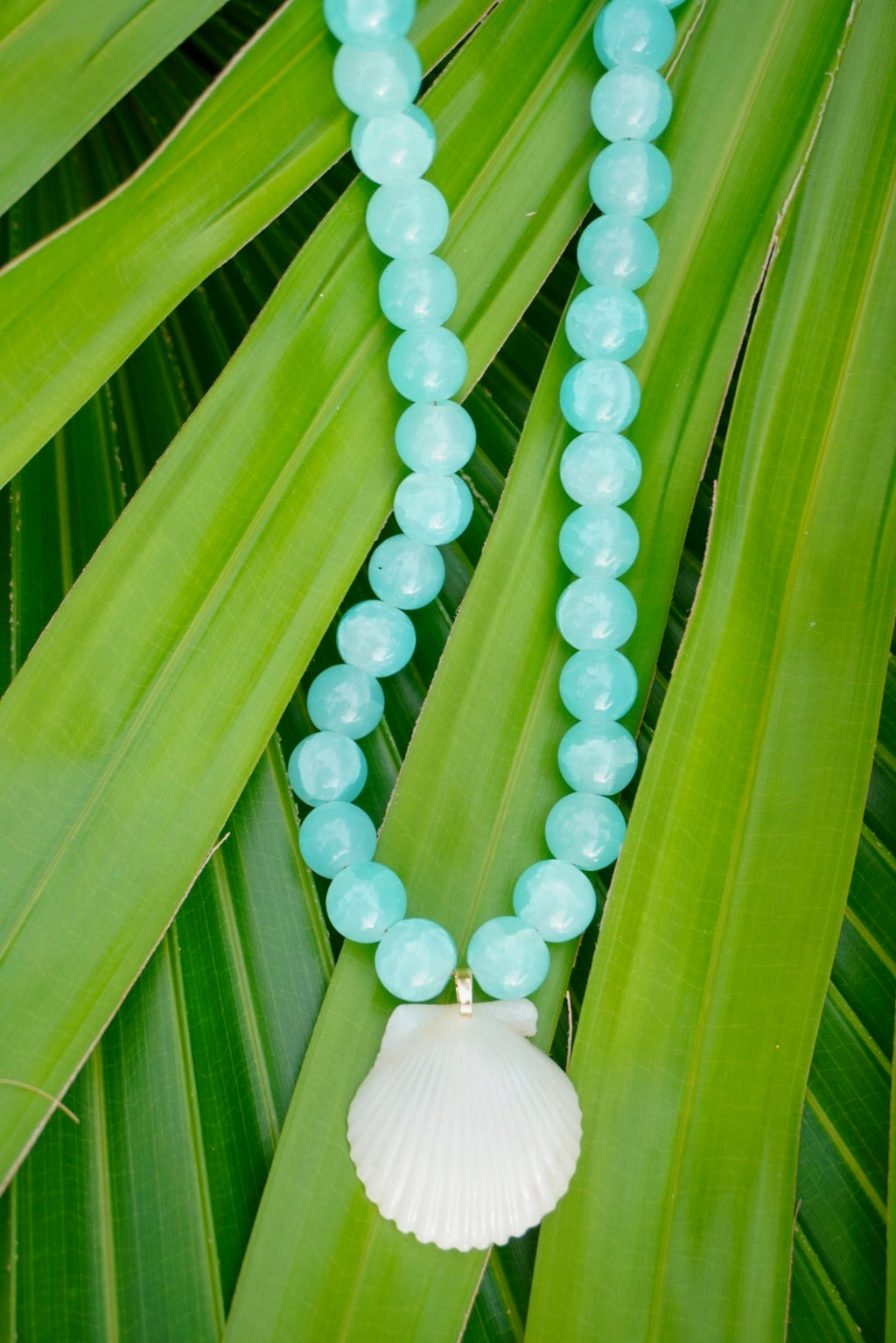 Summer Solstice Shell Necklace