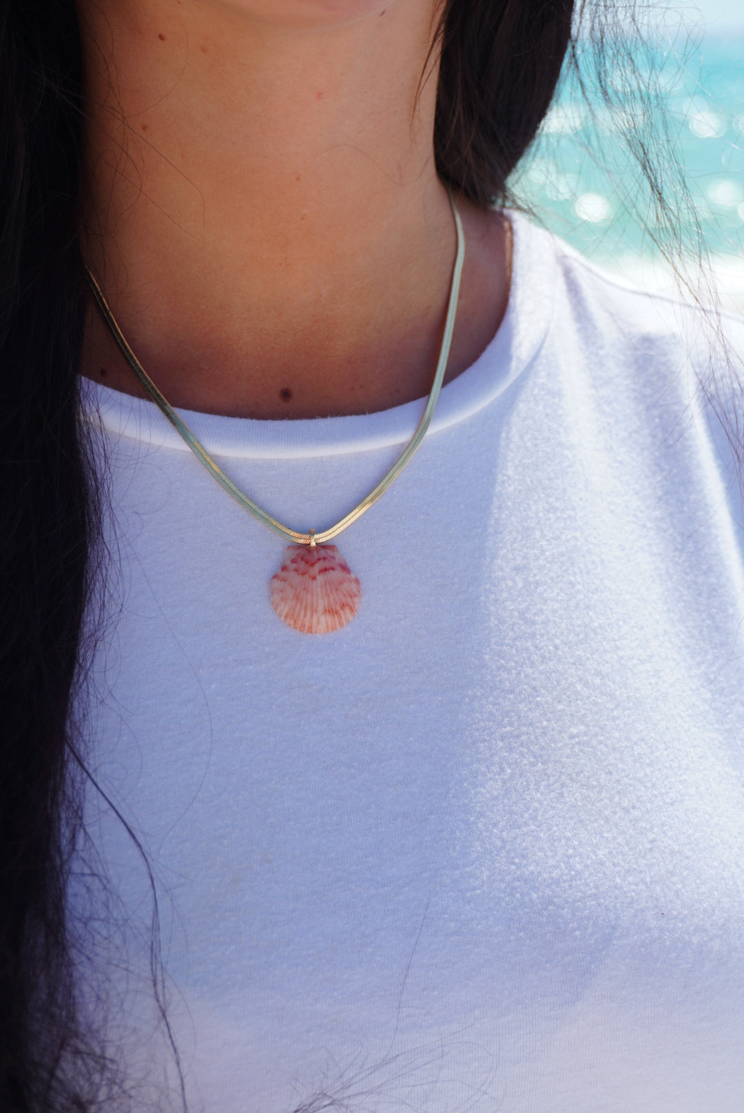 Snake Chain Seashell Necklace